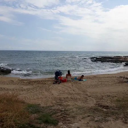 Mare *