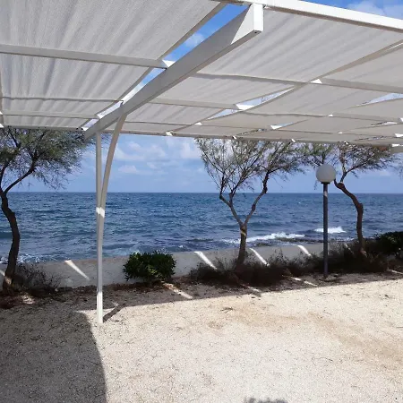 Mare *
